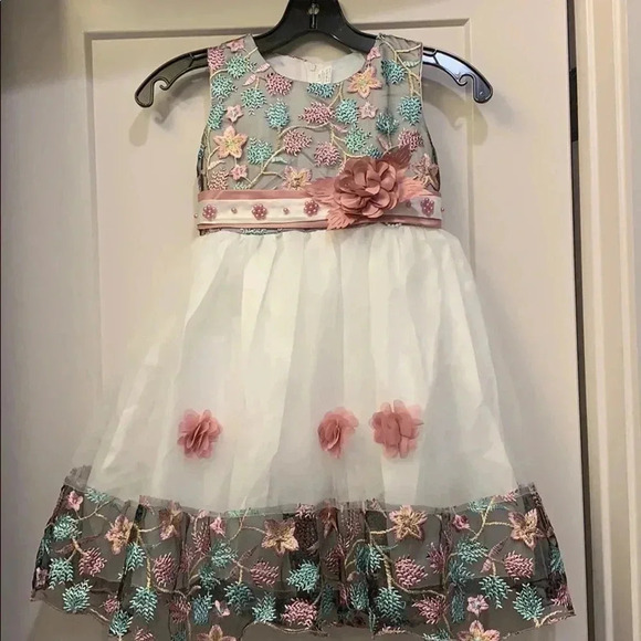 Embroidered Lace Dress - Picture 1 of 7